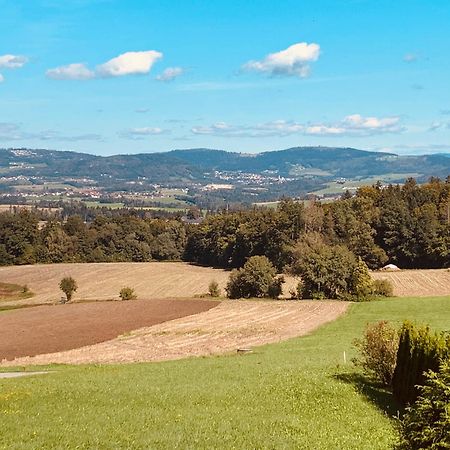 Adlerhorst, 4 Schlafzimmer, Blick In Die Alpen, Parkplatz Thyrnau Екстериор снимка