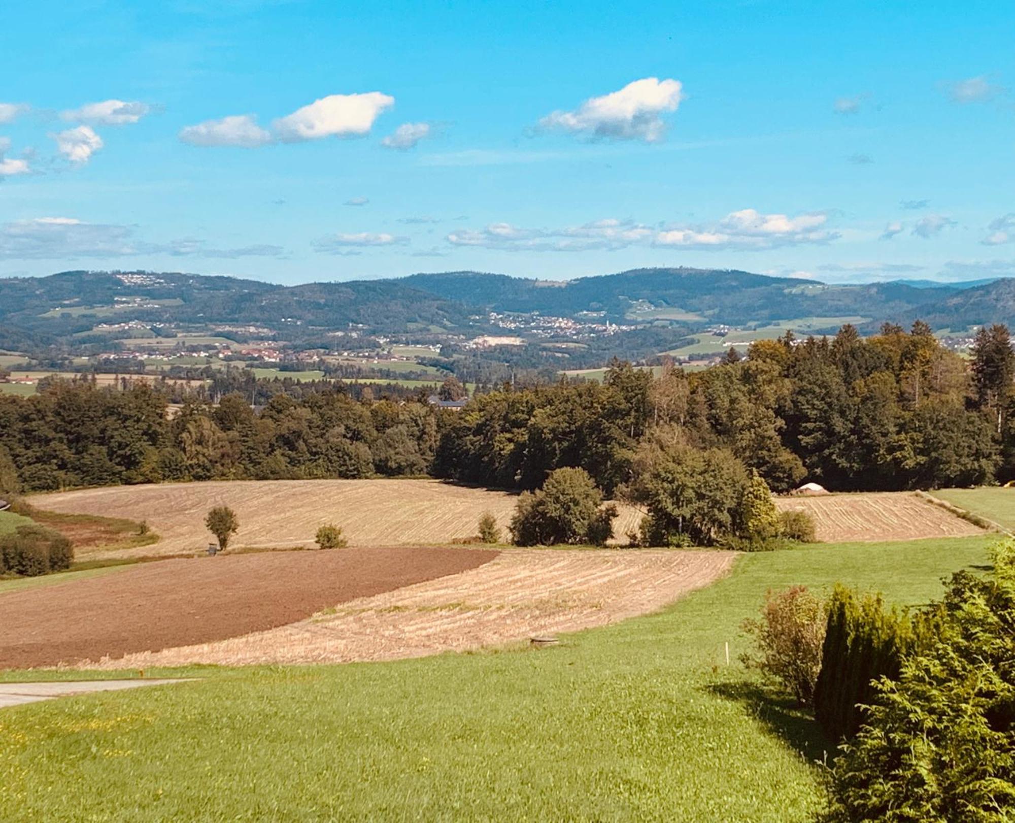 Adlerhorst, 4 Schlafzimmer, Blick In Die Alpen, Parkplatz Thyrnau Екстериор снимка